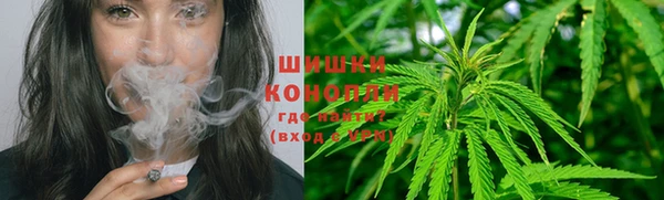 сатива Заволжск
