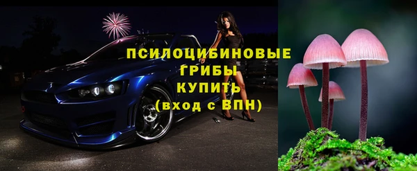 метадон Заводоуковск