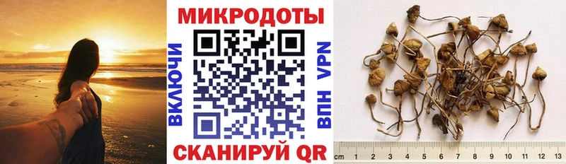 гидра ссылка  Инта  Псилоцибиновые грибы Psilocybine cubensis 